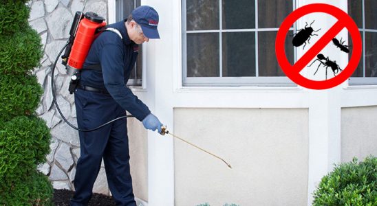 Korkut Hamam Böceği İlaçlama böcek ilaçlama ve haşere kontrolü — ilaclama-tr.com